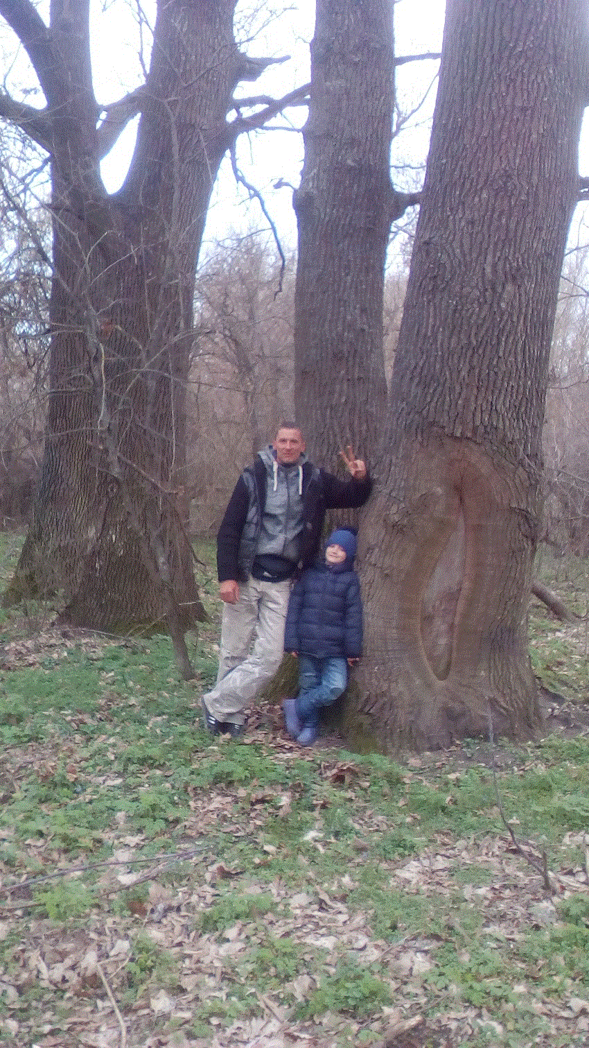 старатель